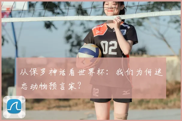 从保罗神话看世界杯：我们为何迷恋动物预言家？