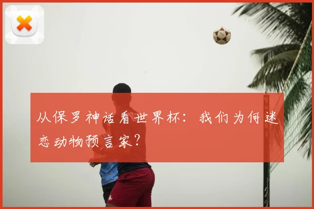 从保罗神话看世界杯：我们为何迷恋动物预言家？