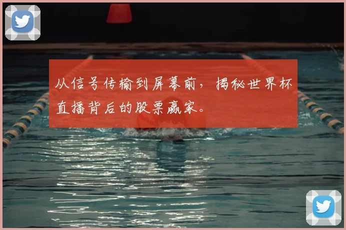 从信号传输到屏幕前，揭秘世界杯直播背后的股票赢家。