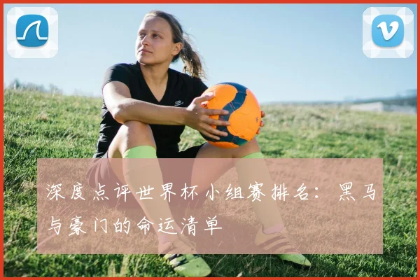 深度点评世界杯小组赛排名：黑马与豪门的命运清单