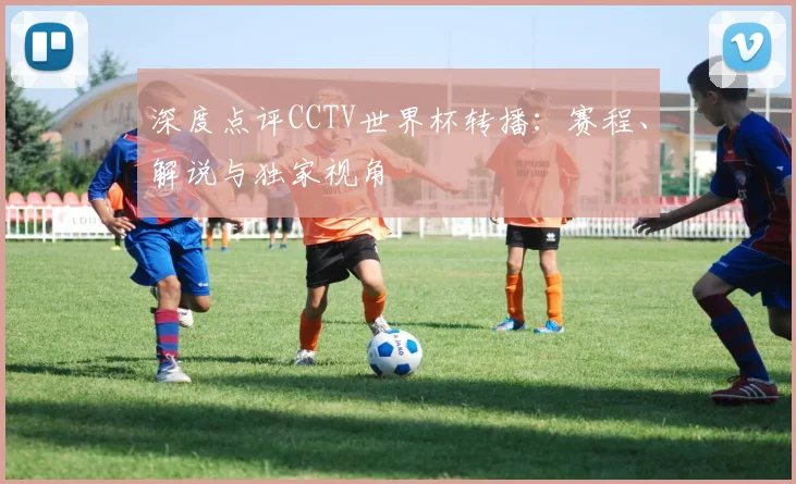 深度点评CCTV世界杯转播：赛程、解说与独家视角