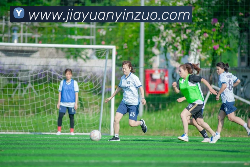 App Interface Preview